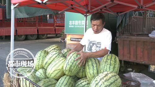 专业吃瓜iii,揭秘娱乐圈幕后风云