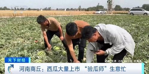 自由吃瓜情侣拍照,自由吃瓜情侣的浪漫拍照攻略