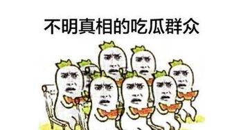 911吃瓜群众,吃瓜群众的视角与反思
