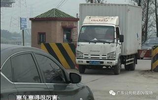 路上车吃瓜,车流中的“吃瓜群众”现象解析