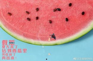 吃瓜境界
