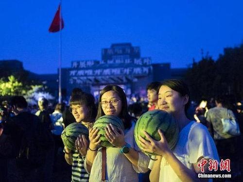 吃瓜群众在瓜田,揭秘吃瓜群众的欢乐盛宴