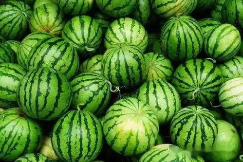放大点看吃瓜视频,放大视角下的吃瓜视频解析